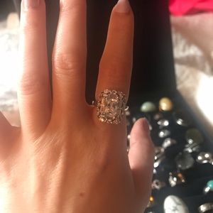 Beautiful Artist Ring 🥂